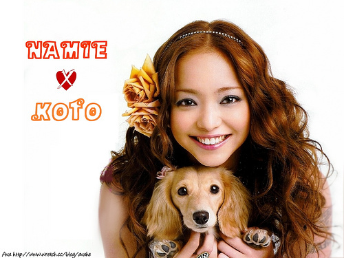 安室奈美恵さんの愛犬 犬のしつけブログ プルミエール迎賓館